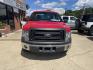 2013 Red /Gray Ford F-150 XLT 8-ft. Bed 2WD (1FTNF1CF8DK) with an 5.0L V8 OHV 16V engine, 6-Speed Automatic transmission, located at 204 Hwy. 16 East, Carthage, MS, 39051, (601) 267-7277, 0.000000, 0.000000- Photo#2