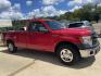 2013 Red /Gray Ford F-150 XLT 8-ft. Bed 2WD (1FTNF1CF8DK) with an 5.0L V8 OHV 16V engine, 6-Speed Automatic transmission, located at 204 Hwy. 16 East, Carthage, MS, 39051, (601) 267-7277, 0.000000, 0.000000- Photo#1